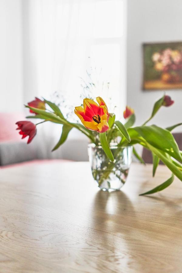 New And Lovely Apartament In Vilnius City Centre Экстерьер фото